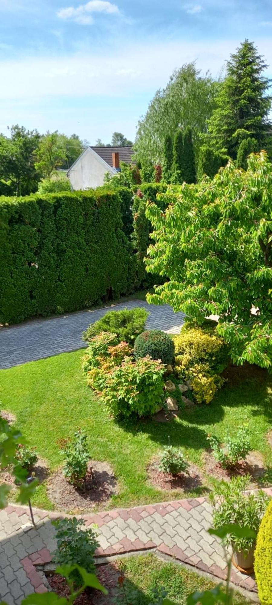 Patrik Apartman Daire Siofok Dış mekan fotoğraf